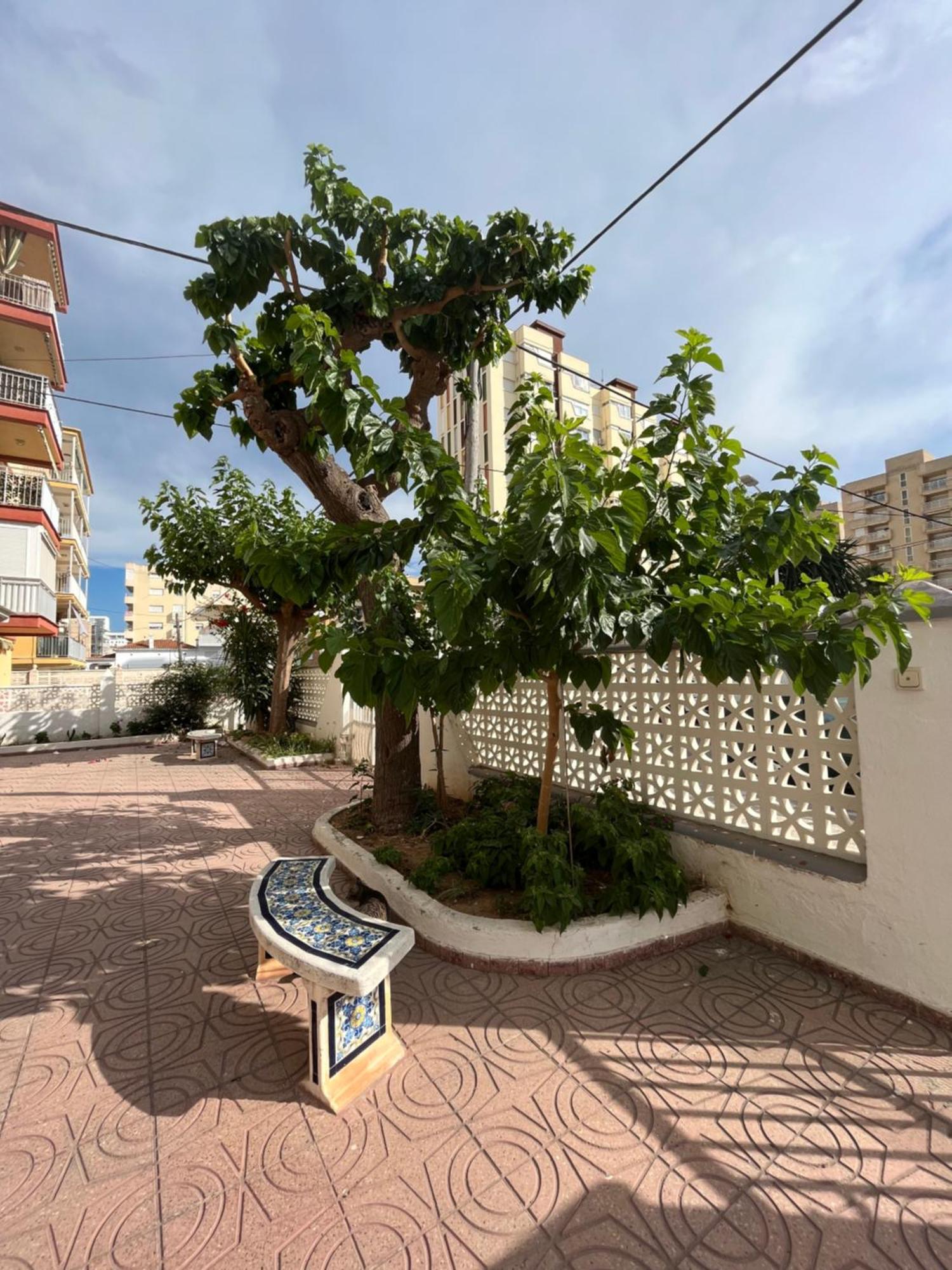 Ferienwohnung Rincon De Maria- Segunda Linea De Playa-Ganador Traveller Awards 2025 Playa de Gandia Exterior foto